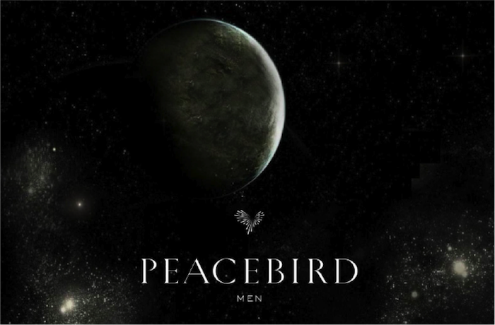 PEACEBIRD MEN 2015 A/W FASHION SHOW